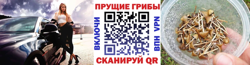 Галлюциногенные грибы прущие грибы  Хадыженск 